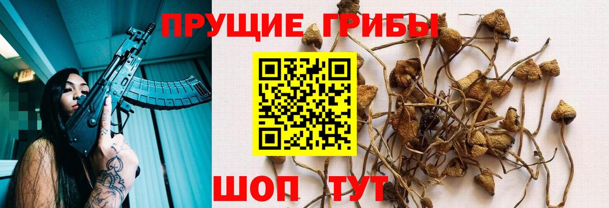 Псилоцибиновые грибы MAGIC MUSHROOMS  Псилоцибиновые грибы Cubensis  Вход с VPN  Заволжье 